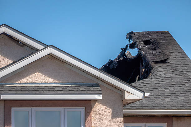 Top rated local Board Up Services specialists in Dallas, TX